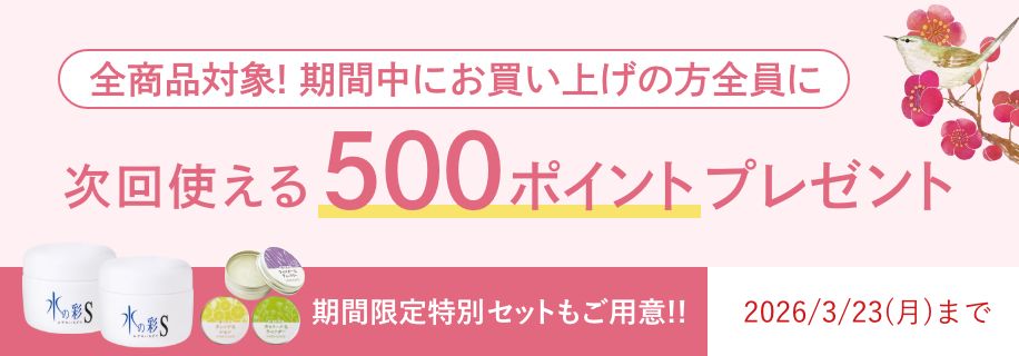 お買い上げの方全員に500ポイントプレゼント
